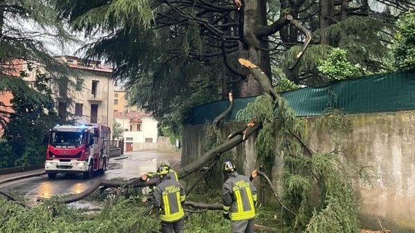 Maltempo nel Lecchese: vento forte, chiusa Villa Monastero a Varenna