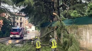 Maltempo nel Lecchese: vento forte, chiusa Villa Monastero a Varenna