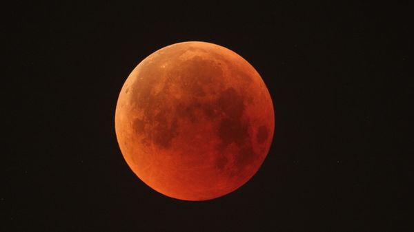 Immagine per 219c1d2e-16ca-11f1-b36b-4893571be2f4