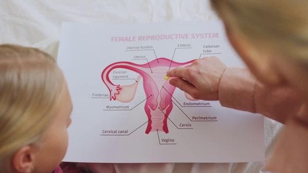 Immagine per italpress-j9Wz