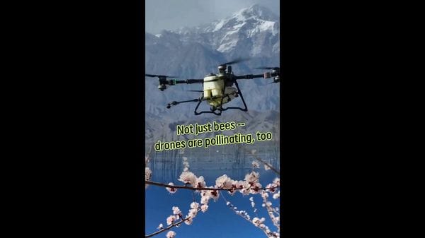 Immagine per italpress-ogWN