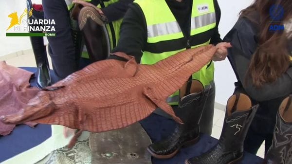 Immagine per italpress-O0vG