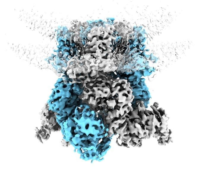 Ripresa in azione la proteina che ci fa percepire il freddo
