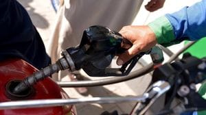 Immagine per afe21d78-1a20-11f1-b36b-4893571be2f4