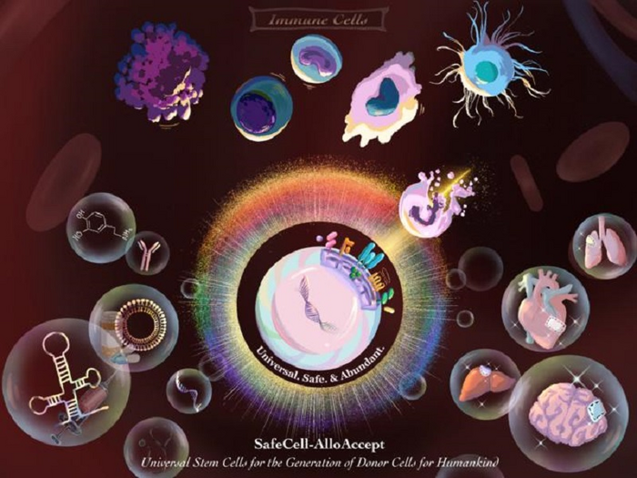 Immagine per 622e02a6-1b86-11f1-a32c-d488f5d5f517