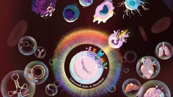 Immagine per 622e02a6-1b86-11f1-a32c-d488f5d5f517