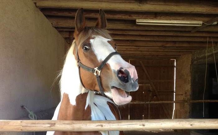 Immagine per ce95a876-1b87-11f1-a32c-d488f5d5f517