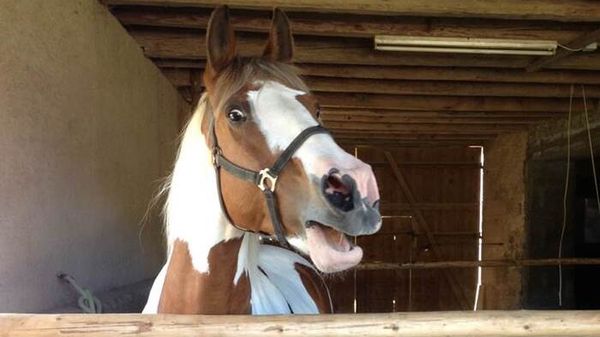 Immagine per ce95a876-1b87-11f1-a32c-d488f5d5f517