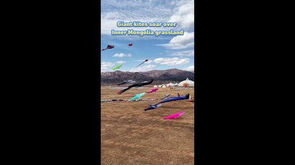 Immagine per italpress-X9vl