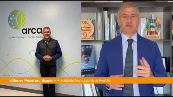 Immagine per italpress-7B4B