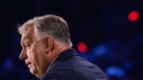 Immagine per ansa-1cc28a9d-10c9-4892-9af0-399b153a9862