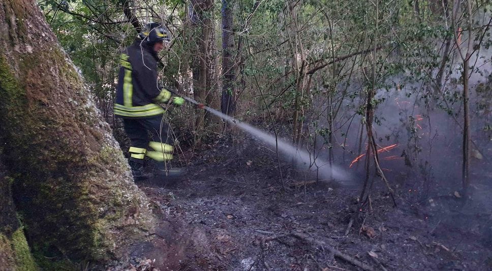 Incendio sul sentiero Valtellina ad Albosaggia