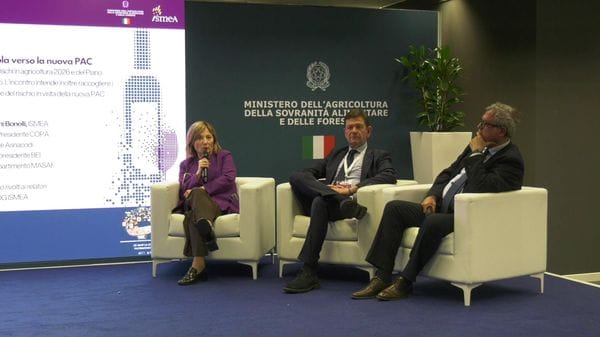 Immagine per italpress-X98v