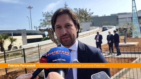 Immagine per italpress-ogGY