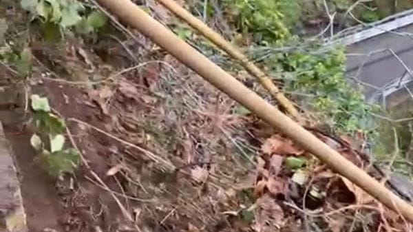 Frana a Bema: massi fermati dalle reti, strada chiusa in via precauzionale