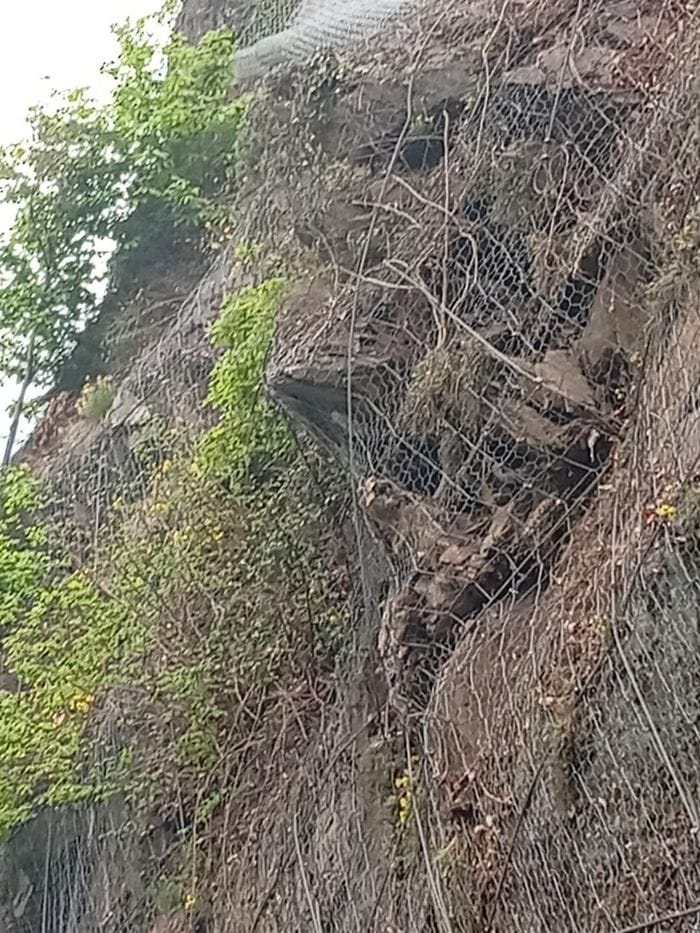 Frana a Bema: massi fermati dalle reti, strada chiusa in via precauzionale