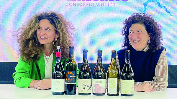 I vini del Lario in costante crescita, il traino del turismo