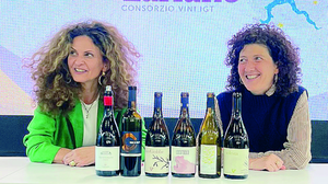 I vini del Lario in costante crescita, il traino del turismo