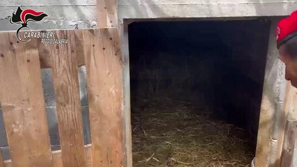 Immagine per italpress-9EqD