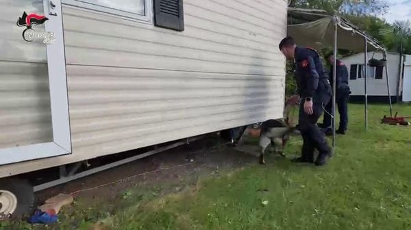 Immagine per italpress-2w31