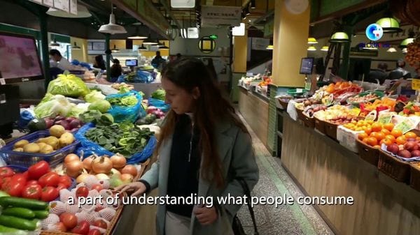 Immagine per italpress-l9zg