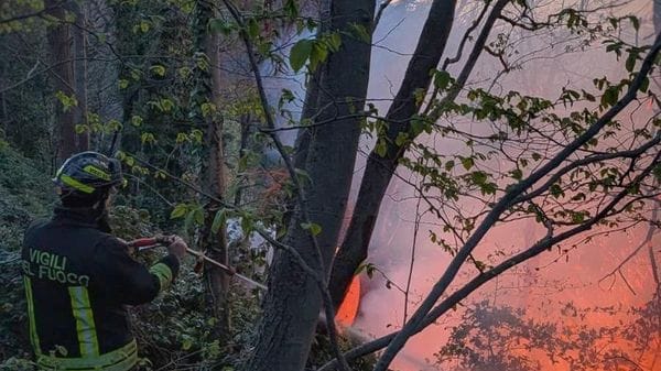 Colle Brianza, incendio riattivato dal vento