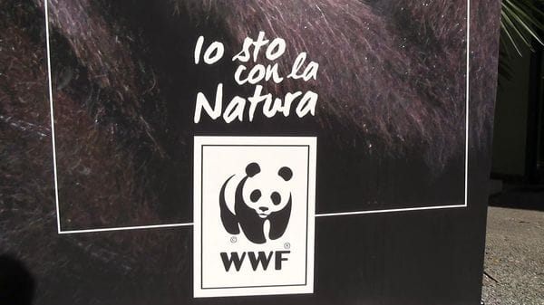 Immagine per italpress-pjpr