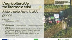 Immagine per ansa-fc77e0dc-440e-419b-aa25-03e1d60e86c3