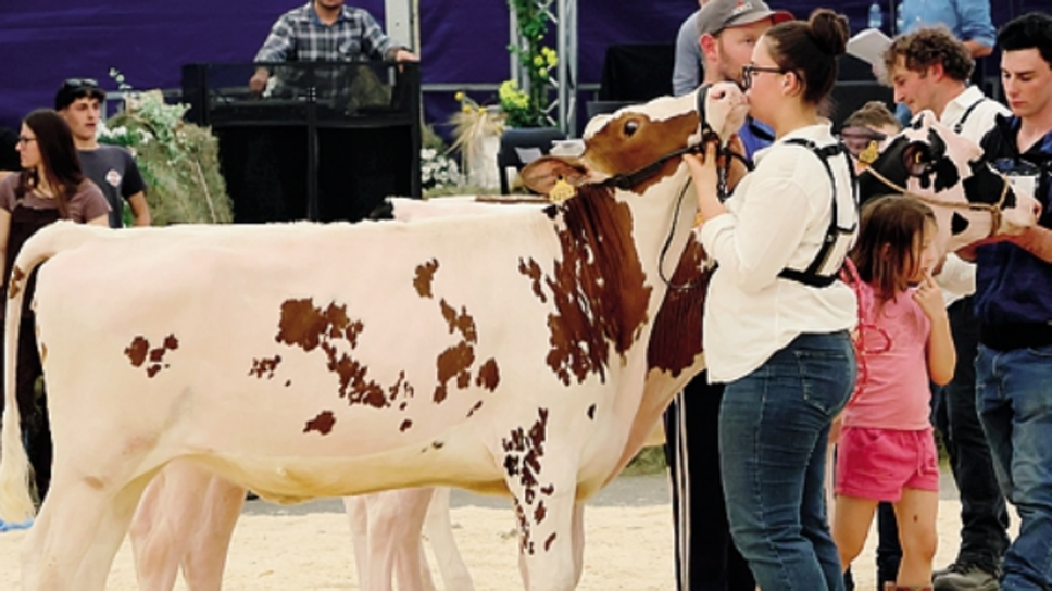 Mostra sulla Frisona a Colorina: per Agri Valtellina un’edizione olimpica