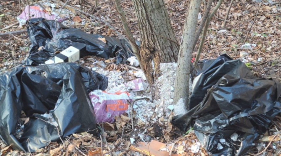 Perledo: rifiuti nei boschi, multa di 3mila euro