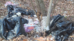 Perledo: rifiuti nei boschi, multa di 3mila euro