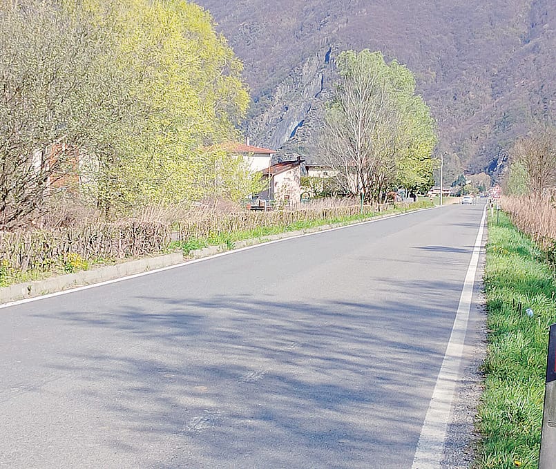 Dubino, ungulati sulle strade: il piano della Riserva con avvisi audio e luci