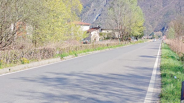 Dubino, ungulati sulle strade: il piano della Riserva con avvisi audio e luci