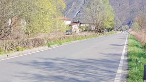 Dubino, ungulati sulle strade: il piano della Riserva con avvisi audio e luci