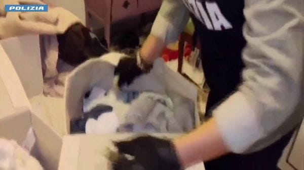 Immagine per italpress-5zqv