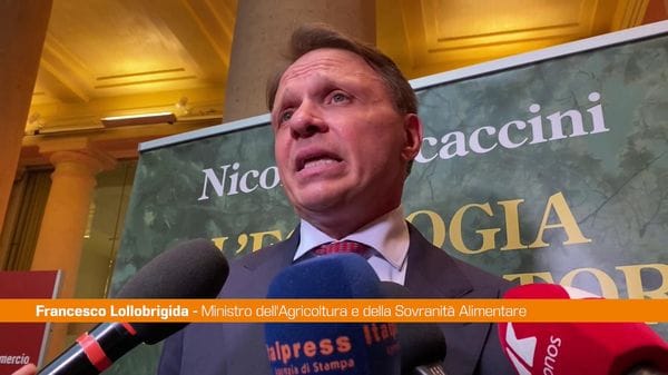 Immagine per italpress-qkwG