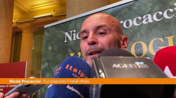 Immagine per italpress-pjrN