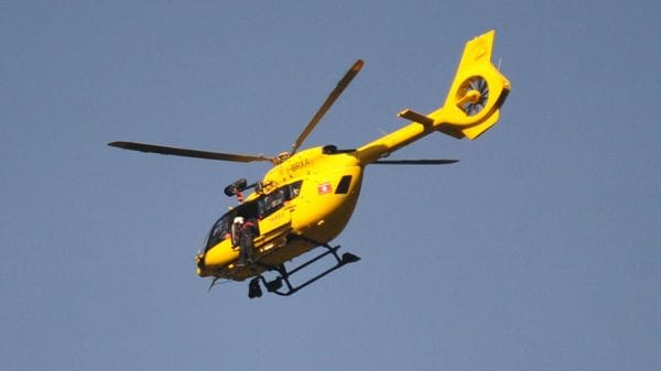 Aggredita da cani, morta 60enne sui monti sopra Tirano