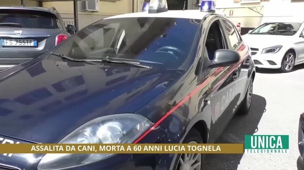 Assalita da cani, morta 60enne