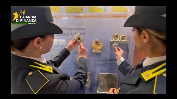 Immagine per italpress-kWR5