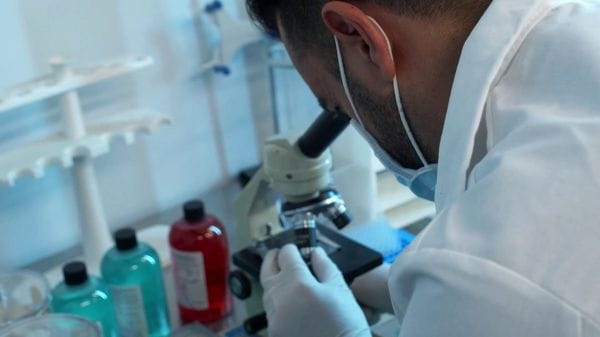 Immagine per italpress-kW55