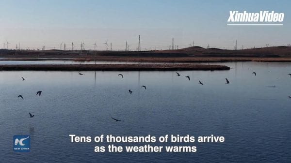 Immagine per italpress-oWYK