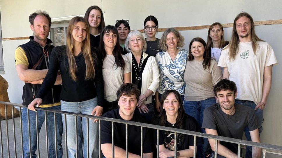 Roccia incisa a Ponte in Valtellina: gli studenti di Brera la restaurano con metodi naturali