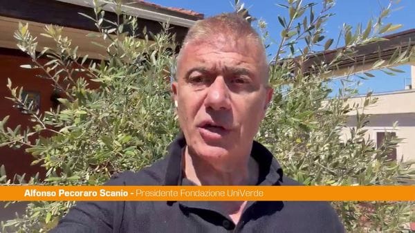 Immagine per italpress-ELlk