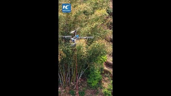 Immagine per italpress-GNZ0