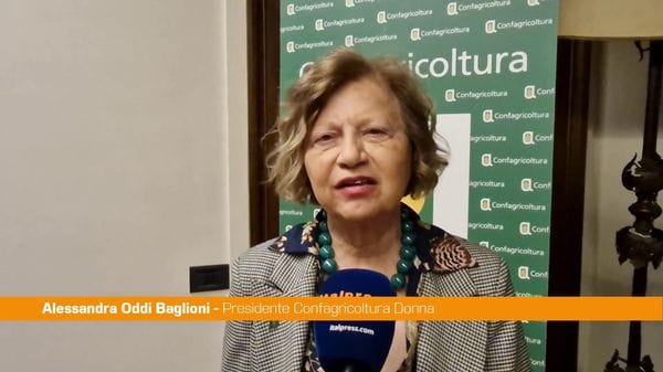 Immagine per italpress-AEPz