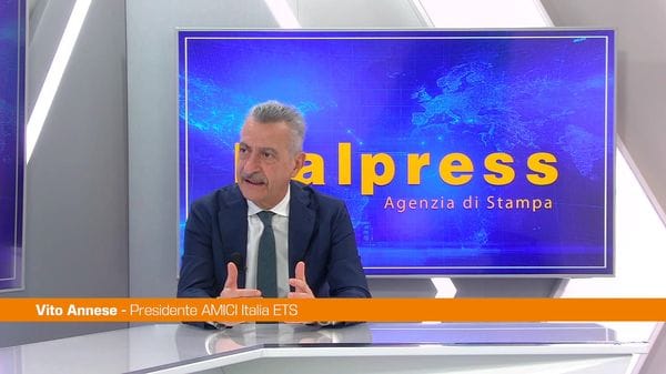 Immagine per italpress-Qr0Y