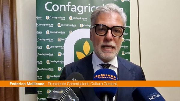 Immagine per italpress-WA7g