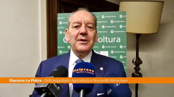 Immagine per italpress-PqZn