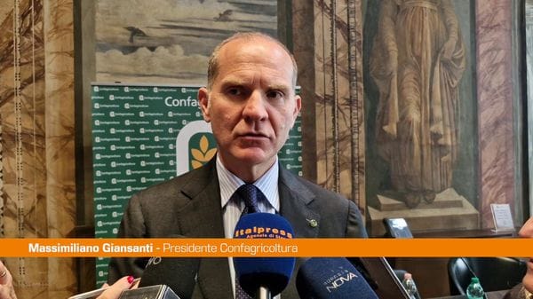 Immagine per italpress-0jYX